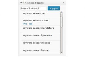 wordpresss-anahtar-kelime