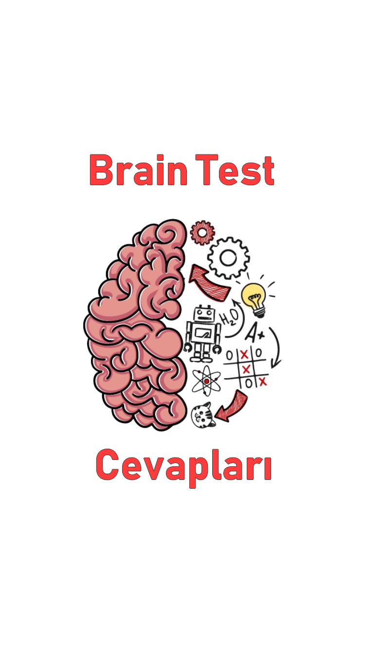Brain Test 297. Seviye ”Bunu Hangisi Yapmış Olabilir” Sorusunun