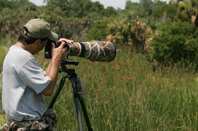 Vahşi Yaşam Fotoğrafçılığı İçin Gerekli Ekipmanlar