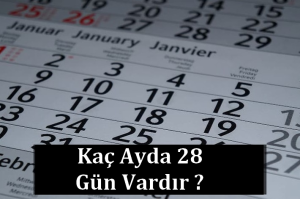 kaç ayda 28 gün vardır